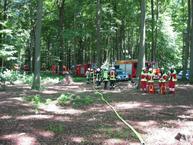 Einsatz: Pilot stirbt bei Flugzeugabsturz im Dünnwalder Wald (23.07.2012)